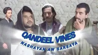 Qandil vines || Nashayan aw sarsaya || 2025 new video || comedy #funny #funnyvideos #yoitubeshorts