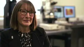 The Oxford Materials Characterisation Service