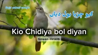 Kio Chidiya bol diyan | Slowed and Reverb | کیو چڑیا بول دیان | Gojri pahari song's/