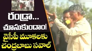 Chandrababu Serious Comments on Police And YSRCP Leaders | AP Politics | TV5 News