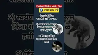हत्तीच्या प्रतिमांसाठी वास्तु मार्गदर्शन | Elephant Statue Vastu Tips #yt #positiveenergy #facts