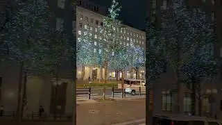 【OSAKA】Winter Special ❄️ - Midosuji Illumination