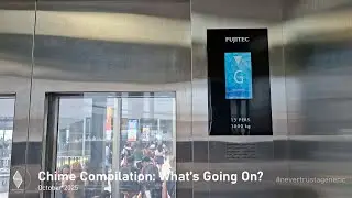 Sumosoftinc Chime Compilation: What's Going On? - October 2025 Edition