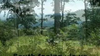 100 Timberwood 29.70 Acers of Land