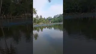 RAWA BANGKIR MULAI RAMAI LUR SEMOGA GACOR KABEH#fyp #fypシ #mancing #fishing #rawabangkir#wanareja