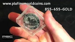 Australian Koala Platinum Bullion Coin | 1-855-655-GOLD