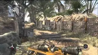 Blackops : Firing Range zombie map ?????