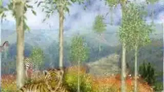 Wild Animals Wall Decorations