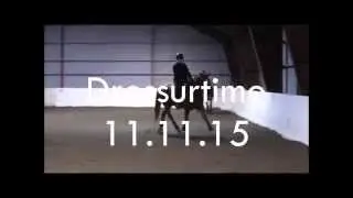 Dressurtime 11.11.15
