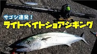 【LSJ】ライトベイトショアジギングでサゴシを狙う！！！Light bait shore jigging