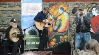 Bunch of blokes - Gower Heritage Centre Cider Festival