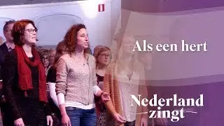 Nederland Zingt: Als een hert