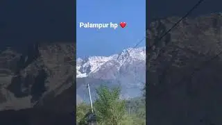 #mountainsview #snowfall #palampur #like #comment #subscribeformorevideos