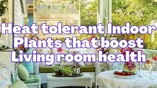 Heat tolerant Indoor Plants that boost Living room health can handle scorching summer days