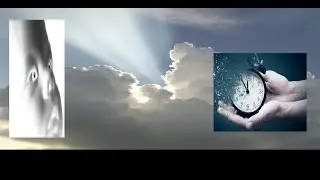 | 