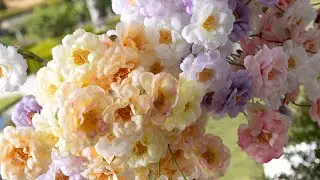Addobbi pasquali e decorazioni per la casa &ndash; Collezione Spring Rebirth 2026 | TonoSuTono