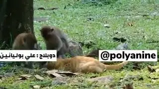 ١٤ نيسان، ٢٠٢٠