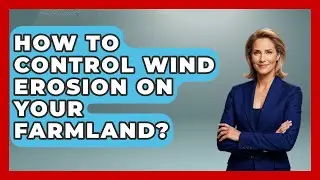 How To Control Wind Erosion On Your Farmland? - Farm Wealth Network