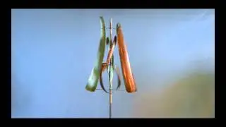 Leopold Gallery - Spring Video