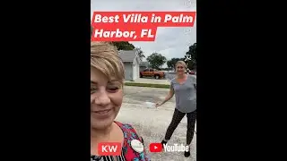 Great Real Estate in Palm Harbor, FL