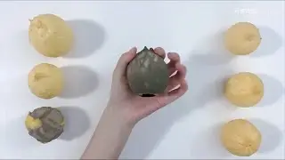 ASMR#Decompression#Collection#sound#Cutting