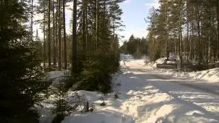 WRC Rally Sweden 2015: Stages 15 - 18