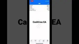 Passive income with my trading robot!