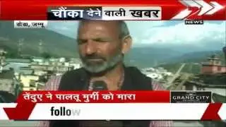 Leopard killed hen Bhagwah Doda j&k