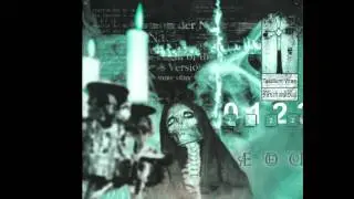 TAEDIUM VITAE tanz und schrei (schrei remix).wmv