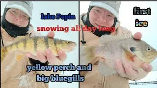 Lake Pepin boat harbor. Ice fishing for yellow perch and big bluegills. Snowing all day long.