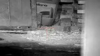 headshot met de pard nv008s-lrf op een fx impact.