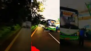 Bus Patas Akas Sound Telolet Basuri Stecu #busmania #bistelolet#telolet#teloletbasuri#bustelolet