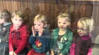 Move tegen pesten 2016