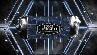 HOSCH Superliima - HOSCH Pikaliima - 0505004331