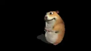Chomik