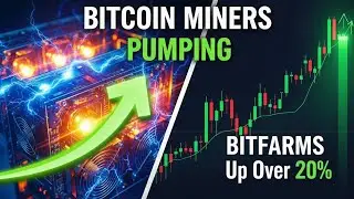 Bitcoin Miners Pumping Hard! Bitfarms Up Over 20%! Core August Update!
