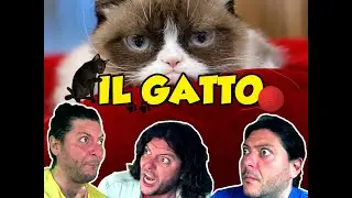 IL GATTO