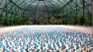 Dancing Solar Flowers Video - Royal Greenhouses of Brussels - Sustainable Development Art