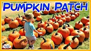 PUMPKIN PATCH Adventures & Activities For Kids