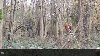 Terriermen caught out on a heritage site!