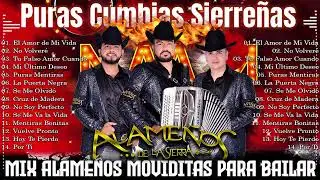 Mix Los Alameños De La Sierra 🎵 Cumbias y Huapangos Para Bailar