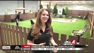 Bay Area Getaways: Pawington Pet Resort