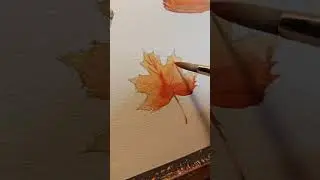 simple watercolor fall leaf illustration