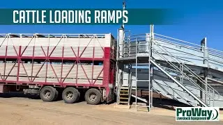 ProWay Cattle Loading Ramps: For safe and efficient cattle loading (2025)