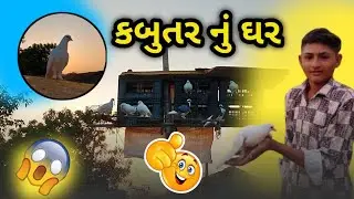 કબુતર નું ઘર  // kabutar nu ghar //