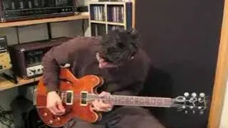 Aynsley Lister playing to Buddy Guy style track | JTCGuitar.com