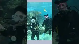 Aquanauts: The Most Dangerous Job on Earth? | एक्वेनॉट्स: धरती पर सबसे खतरनाक काम? | #shorts #facts
