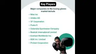 Unleash the Power Within: The Boxing Gloves Evolution