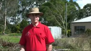Murphy's Creek Restoration Project