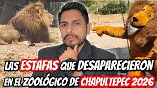 Las ESTAFAS que DESAPARECIERON en CHAPULTEPEC CDMX y las que aparecieron este 2026